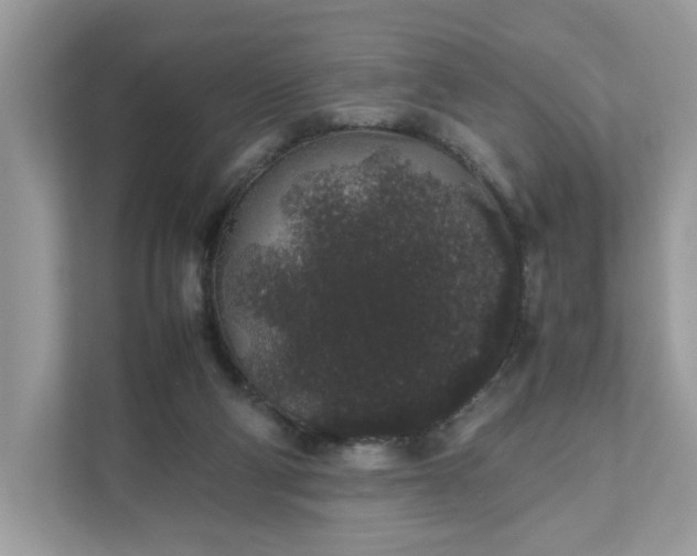 X0000111880114200907301145