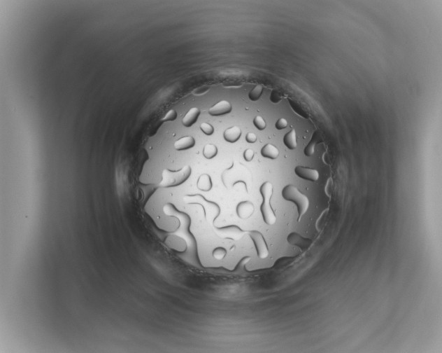 X0000111880116200907301145