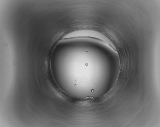 X0000111880120200907301145