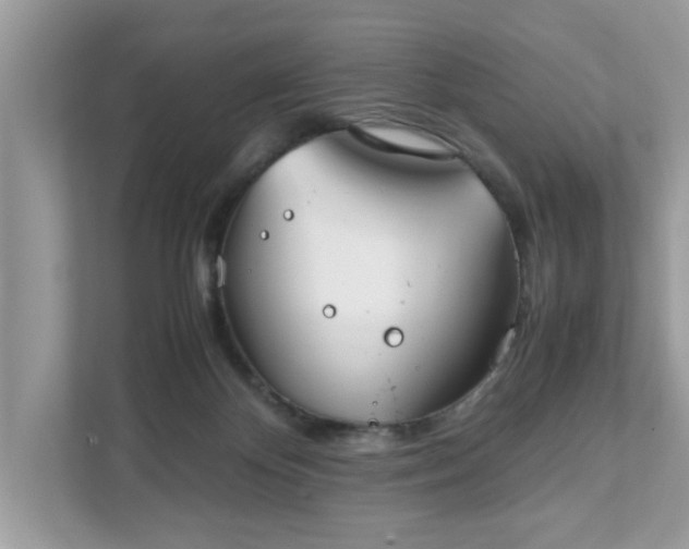 X0000111880124200907301145