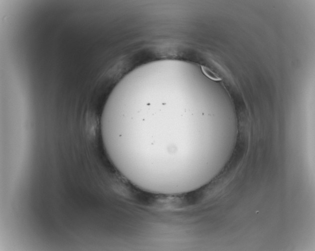 X0000111880125200907301145