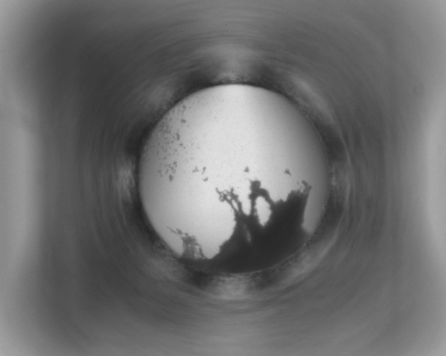 X0000111880127200907301145