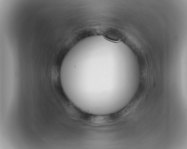 X0000111880129200907301145