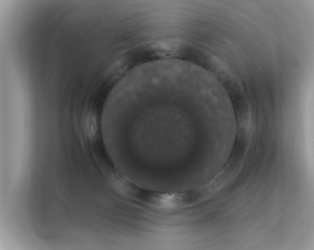 X0000111880130200907301145