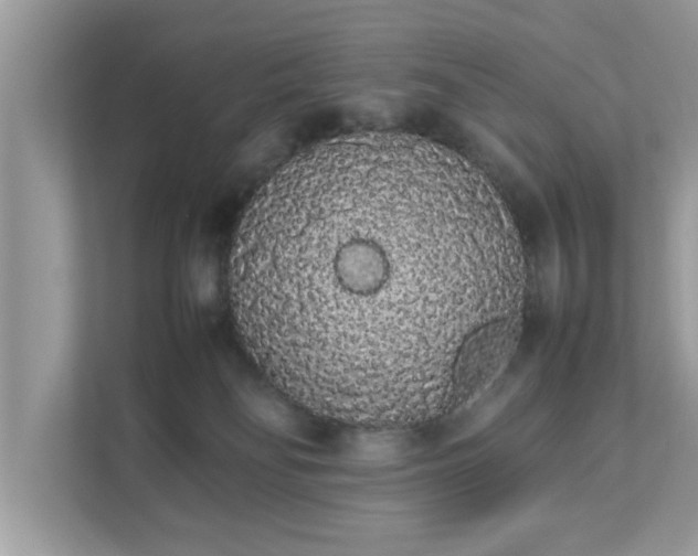 X0000111880134200907301145