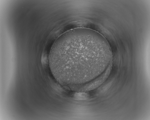 X0000111880137200907301144