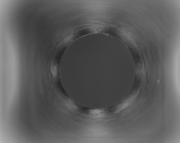 X0000111880139200907301144