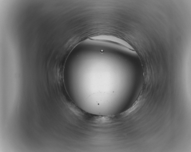 X0000111880140200907301144
