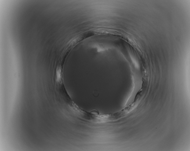 X0000111880143200907301144