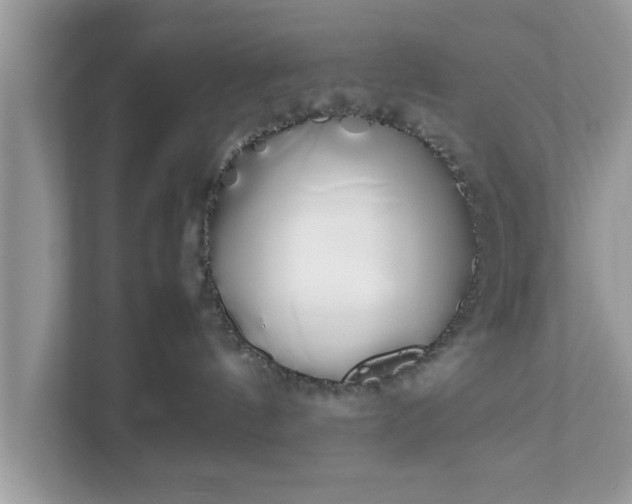 X0000111880144200907301144