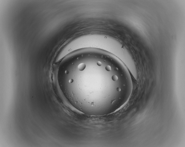 X0000111880146200907301144