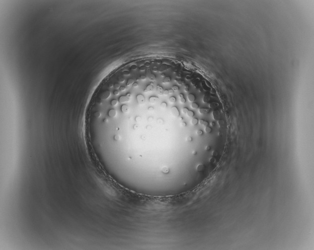 X0000111880148200907301144