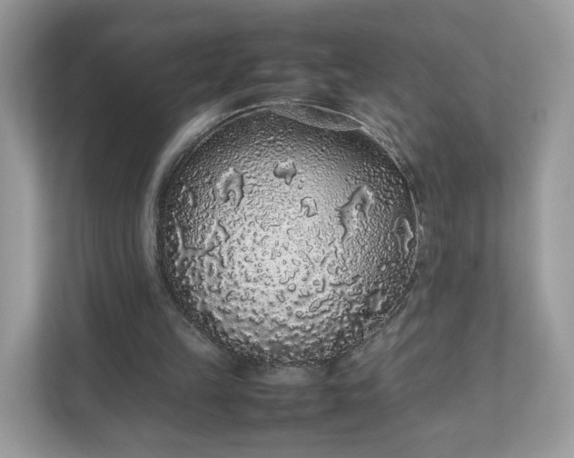 X0000111880149200907301144