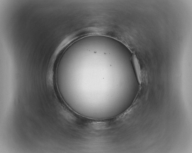 X0000111880150200907301144
