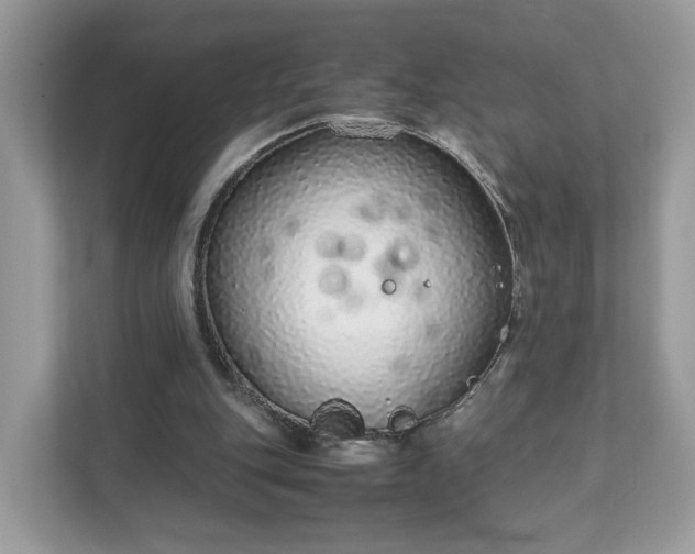 X0000111880151200907301144
