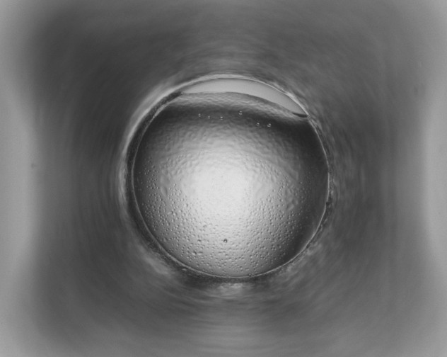 X0000111880152200907301144