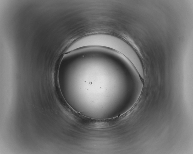 X0000111880154200907301144