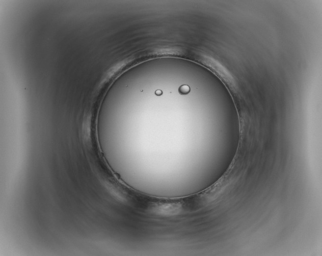 X0000111880155200907301144