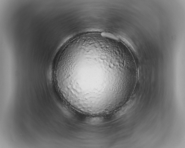 X0000111880156200907301144