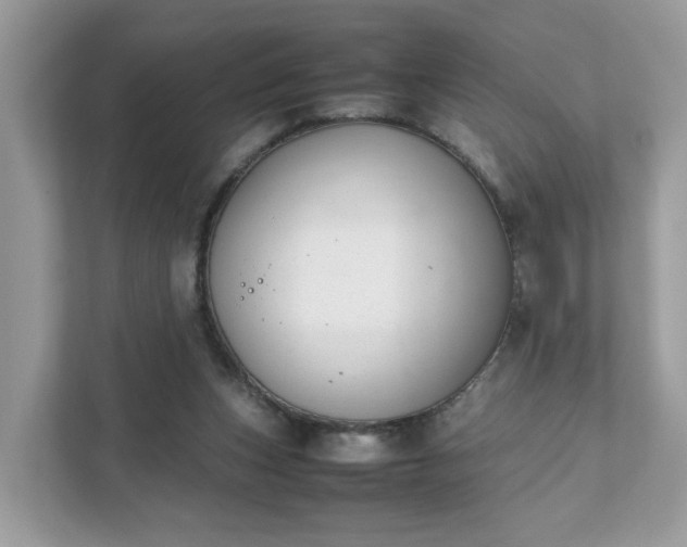 X0000111880159200907301144