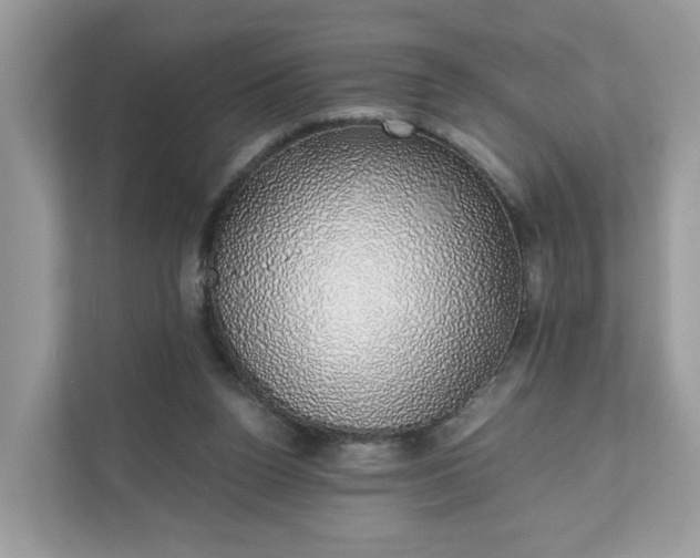 X0000111880160200907301144