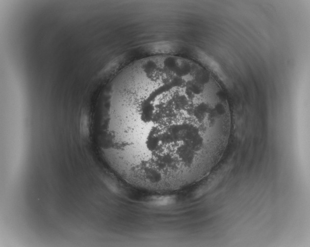 X0000111880161200907301144