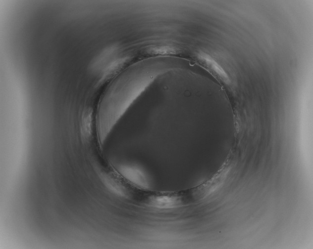 X0000111880163200907301144