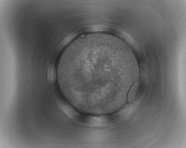 X0000111880164200907301144