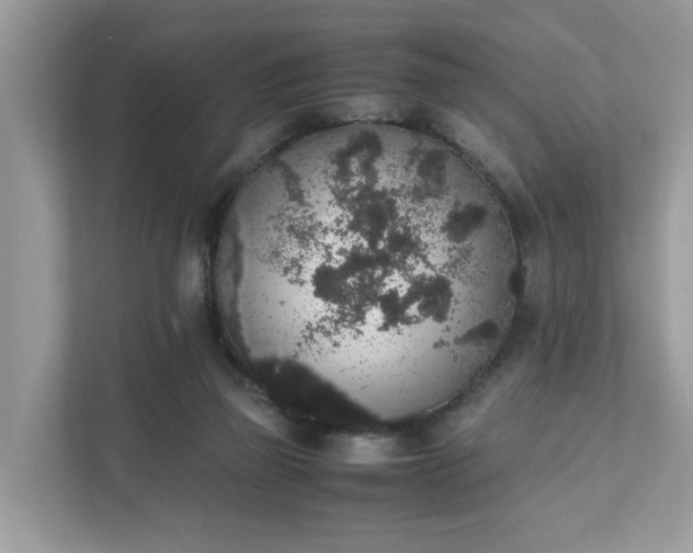 X0000111880165200907301144