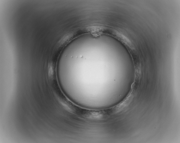 X0000111880166200907301144