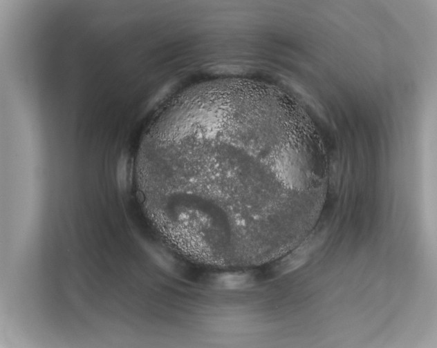 X0000111880168200907301144
