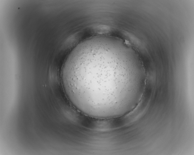 X0000111880170200907301144