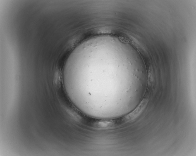 X0000111880172200907301144