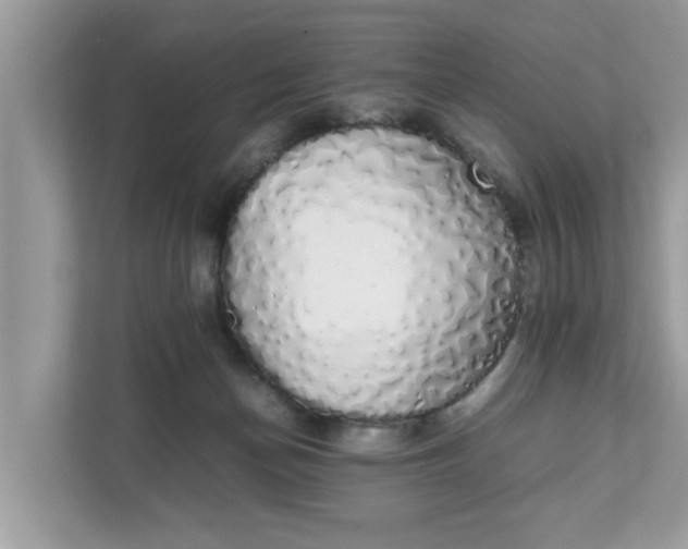 X0000111880174200907301144