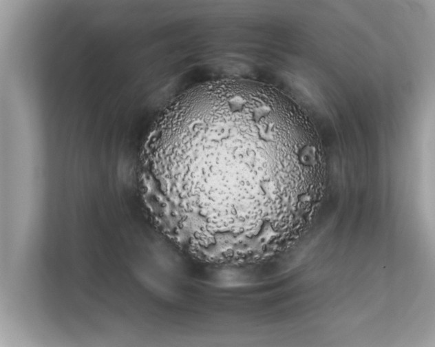 X0000111880177200907301144