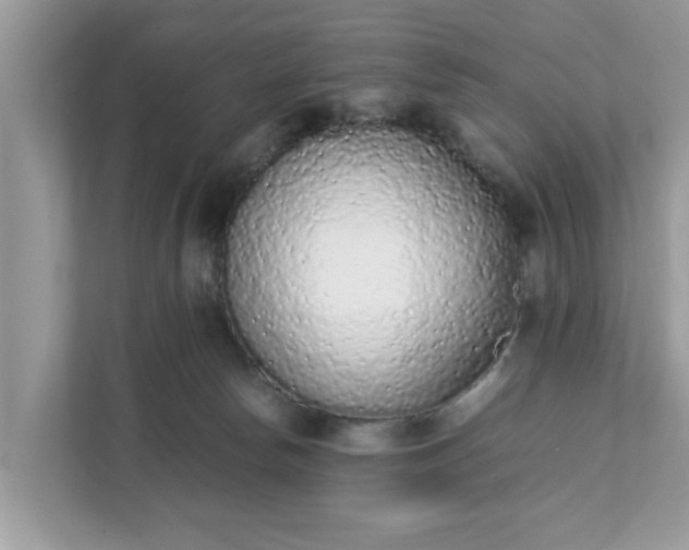 X0000111880178200907301144