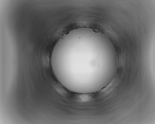 X0000111880183200907301144