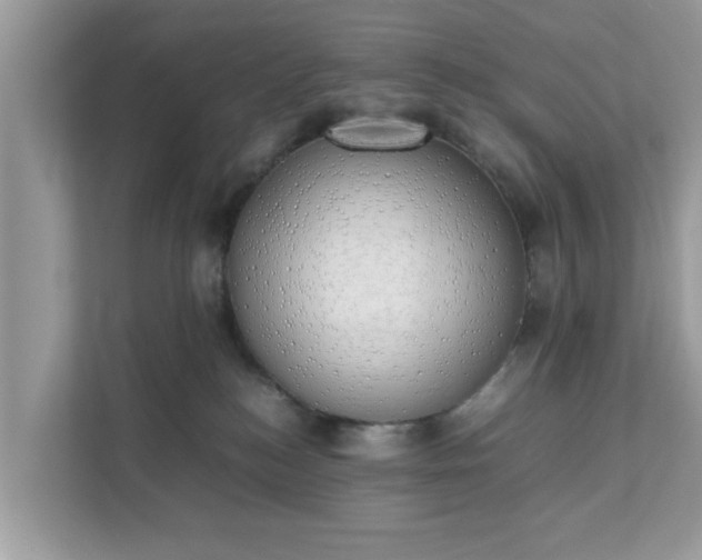 X0000111880184200907301144
