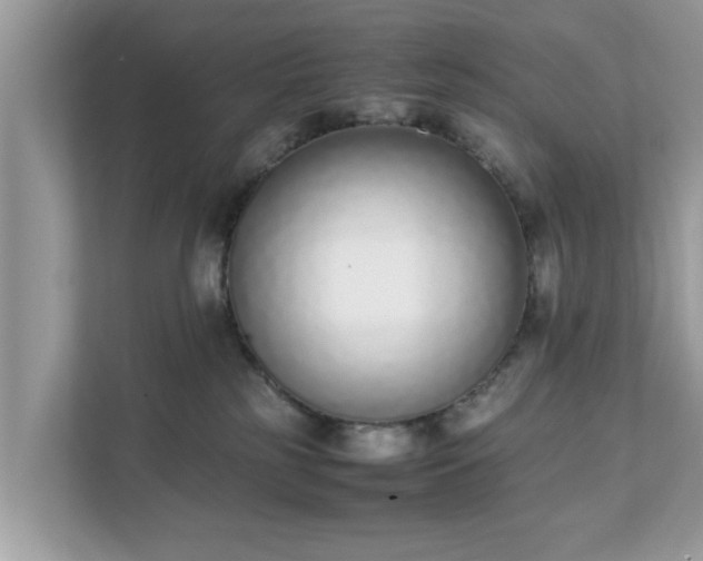 X0000111880185200907301144