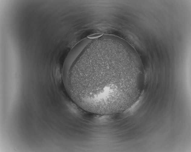 X0000111880186200907301144