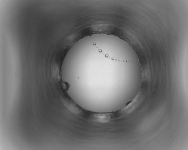 X0000111880187200907301144
