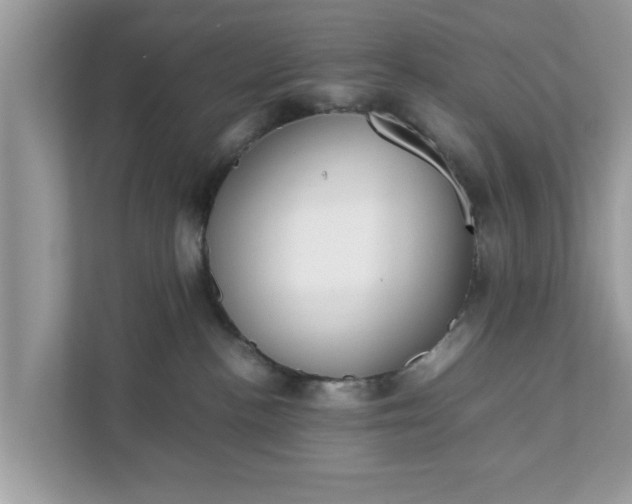 X0000111880188200907301144