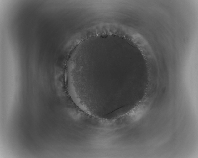 X0000111880192200907301144
