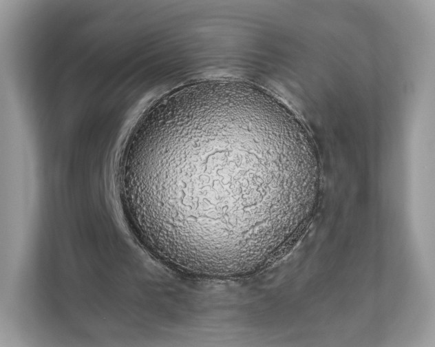 X0000111880193200907301144