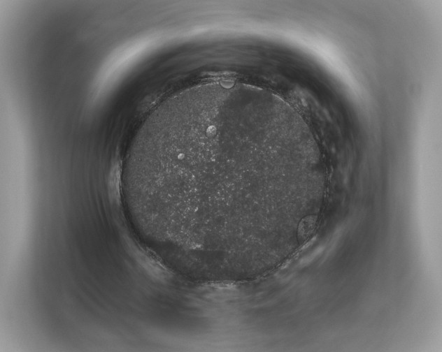 X0000111880194200907301144