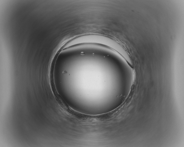 X0000111880195200907301144
