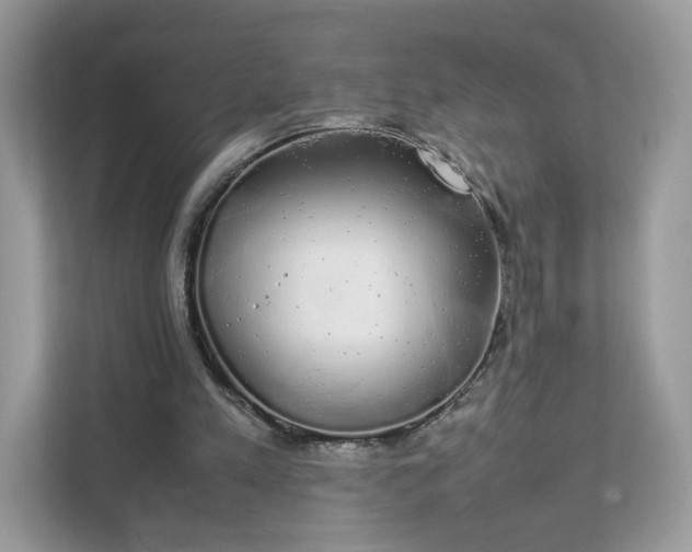 X0000111880197200907301144