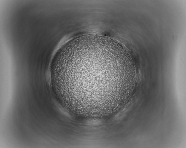 X0000111880198200907301144