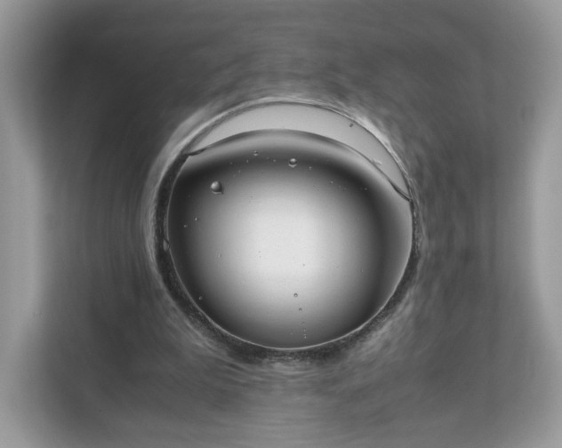 X0000111880199200907301144