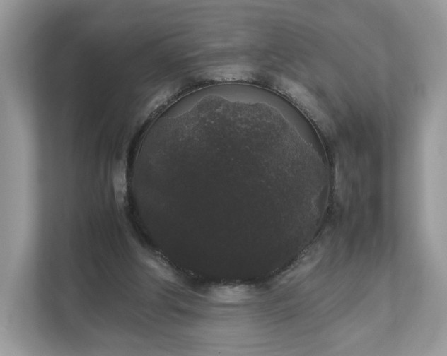 X0000111880202200907301144